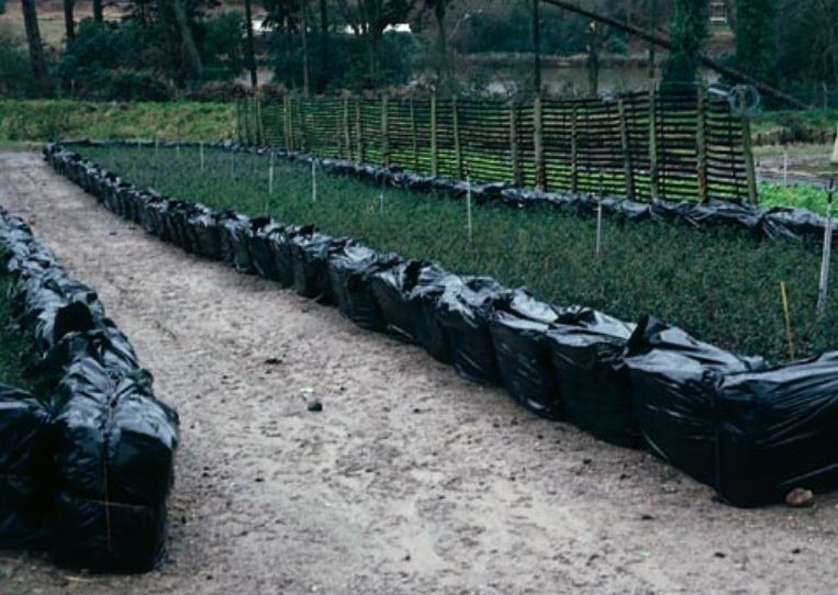 Straw bales wrapped in plastic provide additional winter protection to container crops
